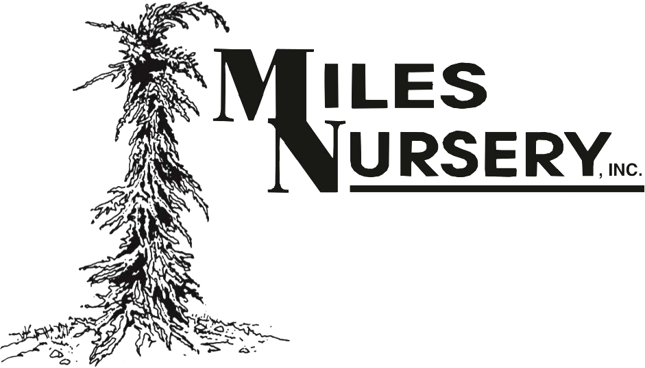 Miles Nursery